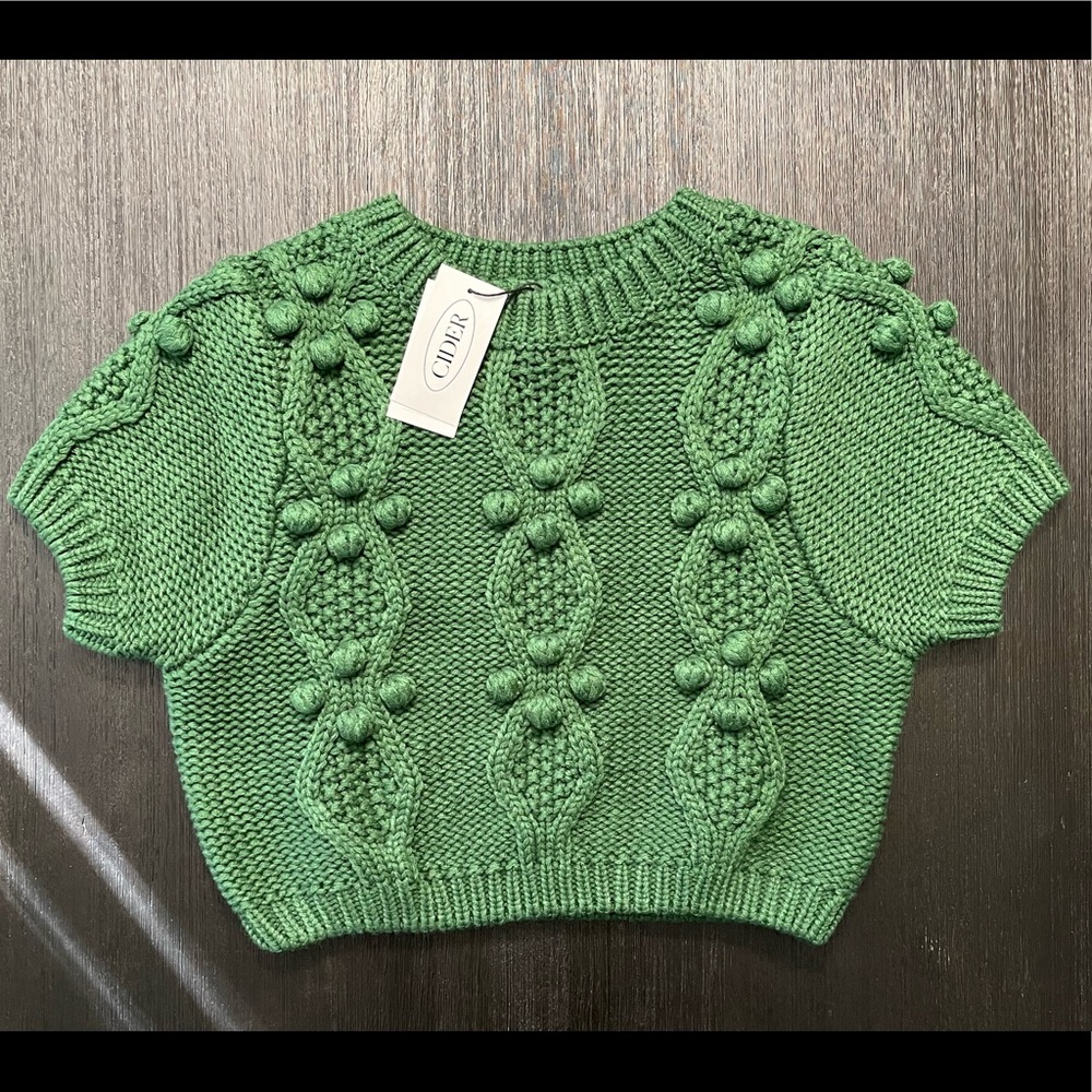 Cider New With Tag Emerald Cropped Sweater Shirt